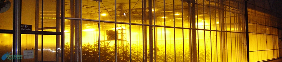 Artificial Lighting Control in Greenhouses crops